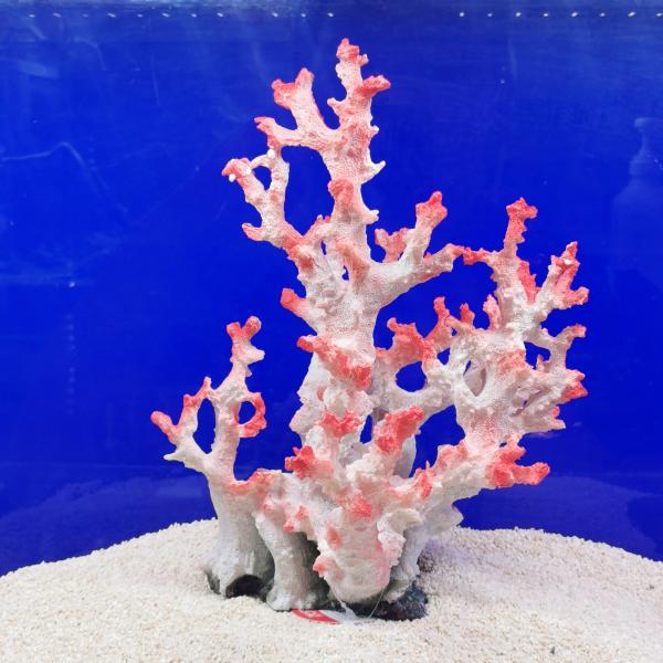 g3aqualab_4934743018472