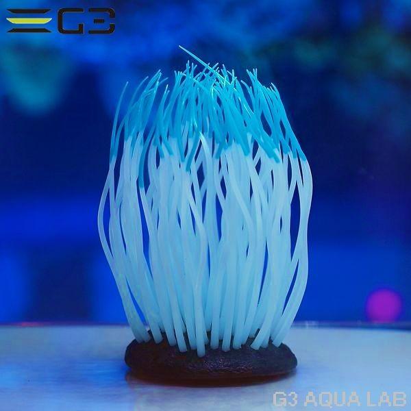 送料360円対応 カミハタ いそぎんちゃくん Mサイズ ブルー :4971664009509:G3 AQUA LAB ヤフーショップ - 通販 - 送料360円対応 カミハタ いそぎんちゃくん Mサイズ ブルー :4971664009509:G3 AQUA LAB ヤフーショップ - 通販 -