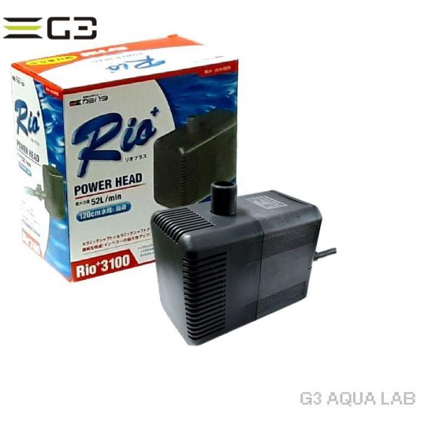 カミハタ Rio+ 3100（リオプラス） 流量52.0L/m（60Hz/西日本用） : G3