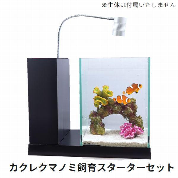 Gex Aqua U専用 カクレクマノミ飼育スターターセット 小型おしゃれ水槽 G3 Aqua Lab ヤフーショップ 通販 Yahoo ショッピング