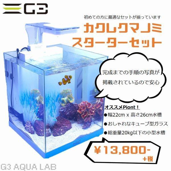 カクレクマノミスターター飼育セット 22cmキューブ型ガラス水槽 G3 Aqua Lab ヤフーショップ 通販 Yahoo ショッピング