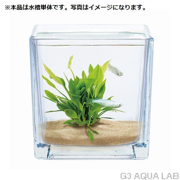ニッソー テーブルアクア グラス ウォーターキューブ G3 Aqua Lab ヤフーショップ 通販 Yahoo ショッピング