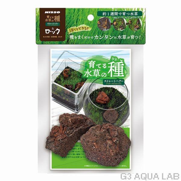 送料230円対応 ニッソー 育てる水草の種 ストレートヘアー ロック G3 Aqua Lab ヤフーショップ 通販 Yahoo ショッピング