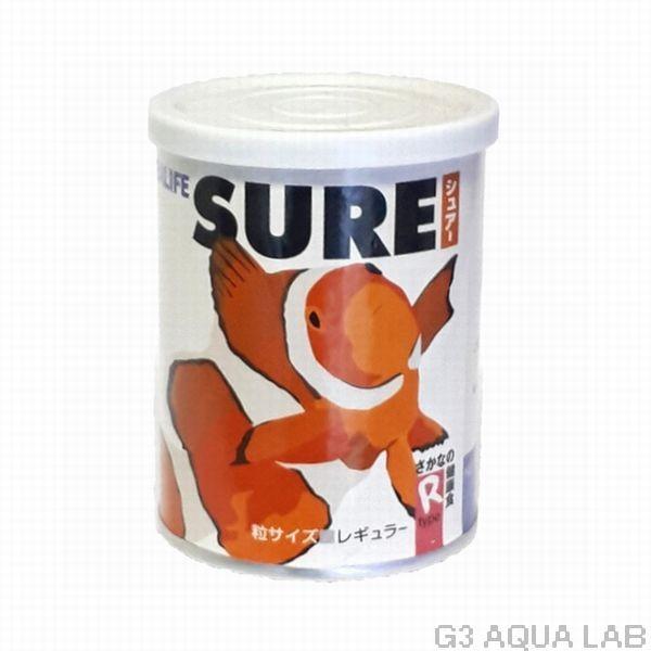 他サイト： 送料無料 SURE（シュアー） Rタイプ 55gの商品画像
