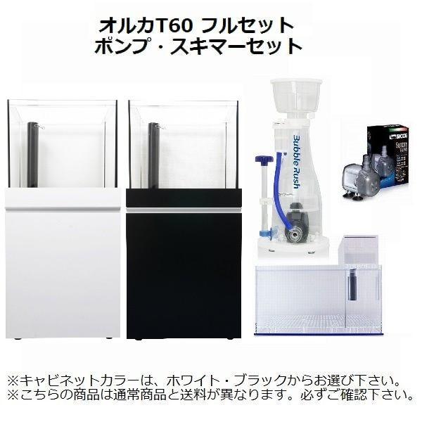 オルカ T60 オーバーフロー水槽 ポンプ スキマーセット 背面クリアガラス仕様 Buyee Buyee 提供一站式最全面最專業現地yahoo Japan拍賣代bid代拍代購服務 Bot Online