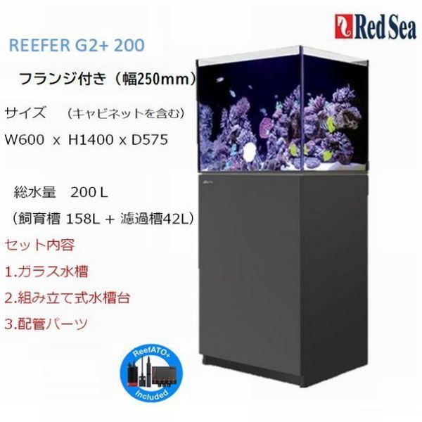 水槽レッドシー リーファーxl200 Redsea REEFER - 愛知県のその他