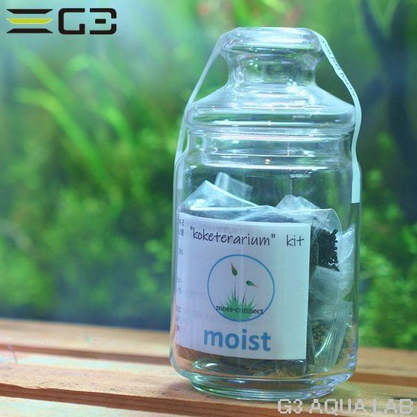 コケリウムキット モイスト ガラス容器付飼育セット Kokeriumkit Moist G3 Aqua Lab ヤフーショップ 通販 Yahoo ショッピング