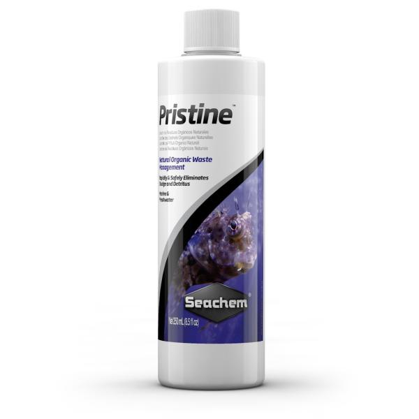 Seachem Pristine シーケム プリスティン 100ml 有機物分解  バクテリア剤　常温保存可能