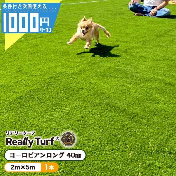 リアリーターフ ヨーロピアンロング パイル40mm グリーンフィールド■商品について・静電気抑制・抗菌・防炎・防カビ・消臭・つや消しパイル・端部カット済・ウレタンバッキング■規格2m×5m（10平米分）パイル長：40mm※ロール状に巻いた状...