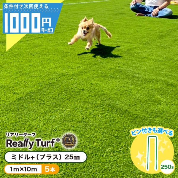 人工芝ロール50平米 高密度25mmの魅力と使い方