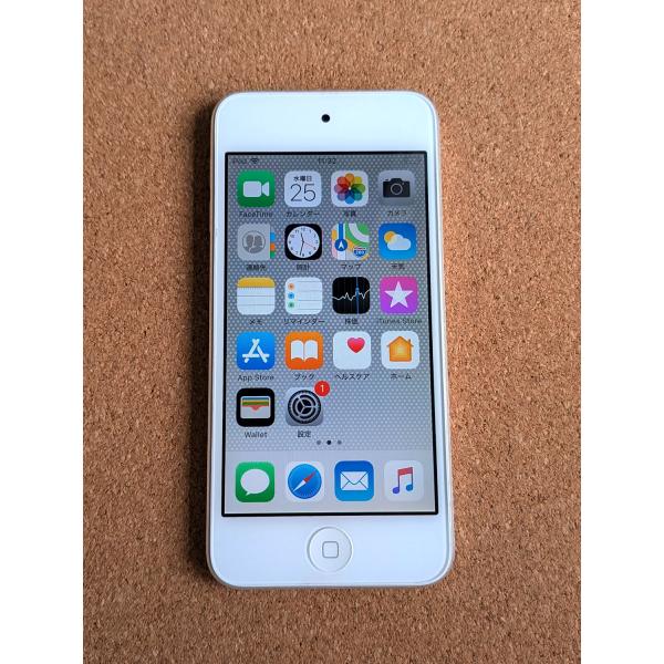 iPod touch 第6世代 2015年モデル MKH42J/A 16GB シルバー 028