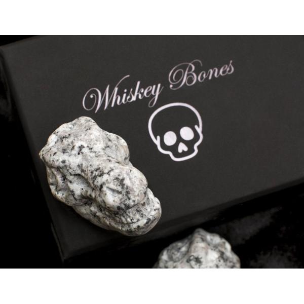 Whiskey Bones Set of 2 Granite Whiskey Stone TRex Skulls