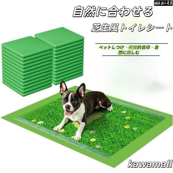 ペットシーツ ワイド 厚型 芝生柄付き 犬 トイレシート レギュラー トイレシート 瞬間吸水 逆戻り防止 ペット用 しっかり超吸収 テープ付きグリーン 10/