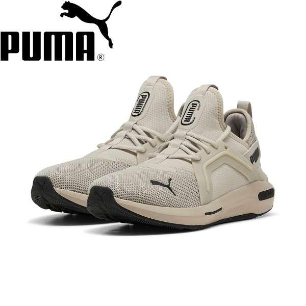 ◆◆◎【特価】 ＜プーマ＞ PUMA SOFTRIDE エンゾ 5 311098 (11) スニーカー