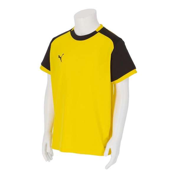 PUMA（プーマ） ◇◇メール便発送 ＜プーマ＞ PUMA teamLIGA26 ゲーム