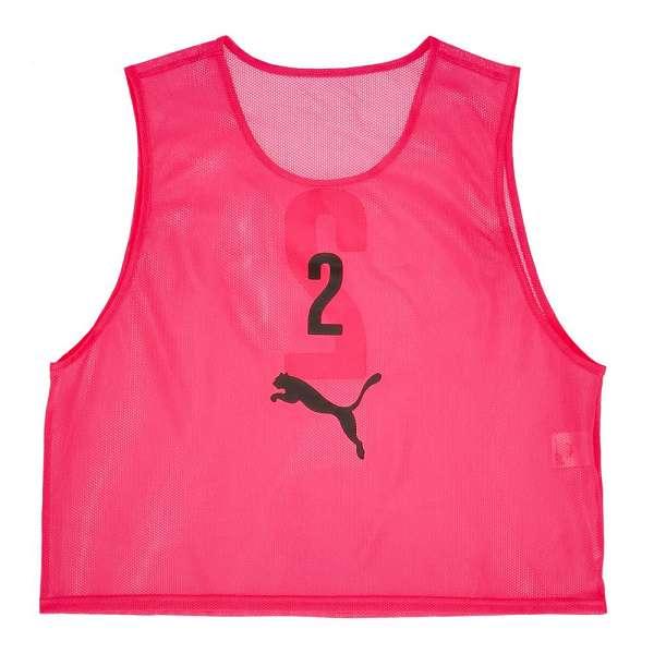 ◆◆ ＜プーマ＞ PUMA ビブスセット(10) 920604 (05) サッカー・フットサル PUMA（プーマ） ◇◇ ＜プーマ＞ ビブスセット(10) 920604 (05