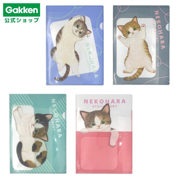 gakkensf_d0607