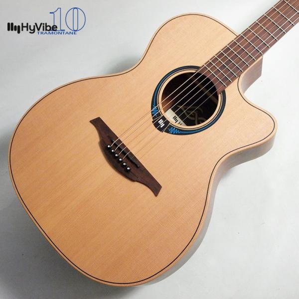 HyVibe 10 THV10ACE