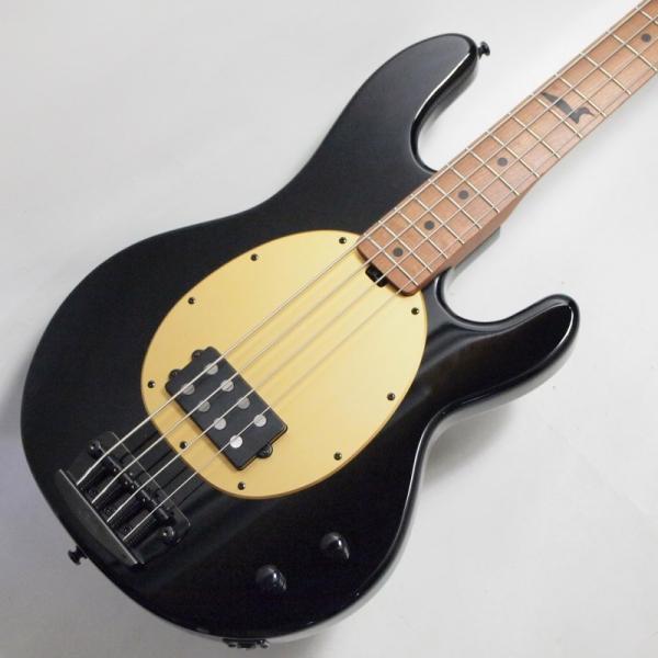 Pete Wentz Signature StingRay