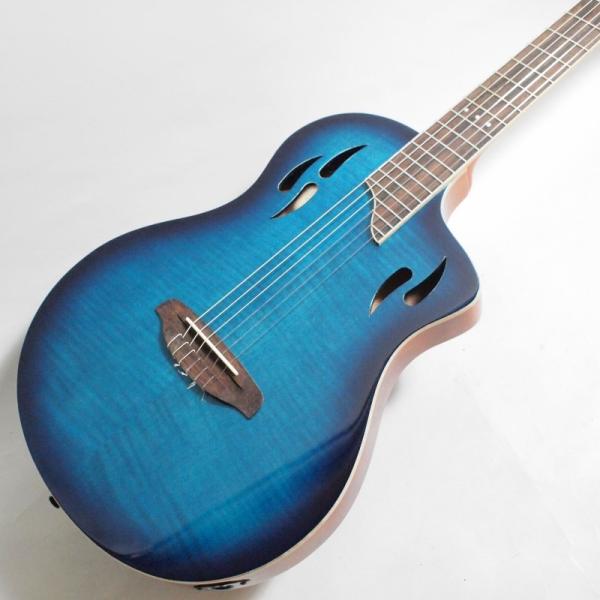 【ほぼ新品】Ortega RTPDLX-FMA TOURPLAYER エレガット Ortega RTPDLX-FMA TOURPLAYER エレガット オルテガ : 楽器de元気