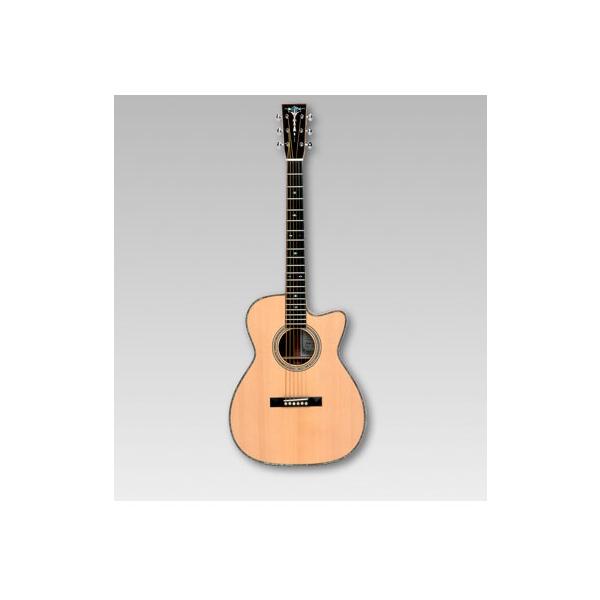 ASTURIAS アコースティック SOLO PREMIUM〈アストリアス〉