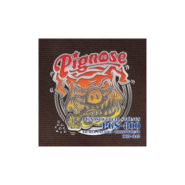 他サイト： Pignose/ピグノーズギター専用弦 PGS-800【ピグノーズ】〈アリア〉の商品画像