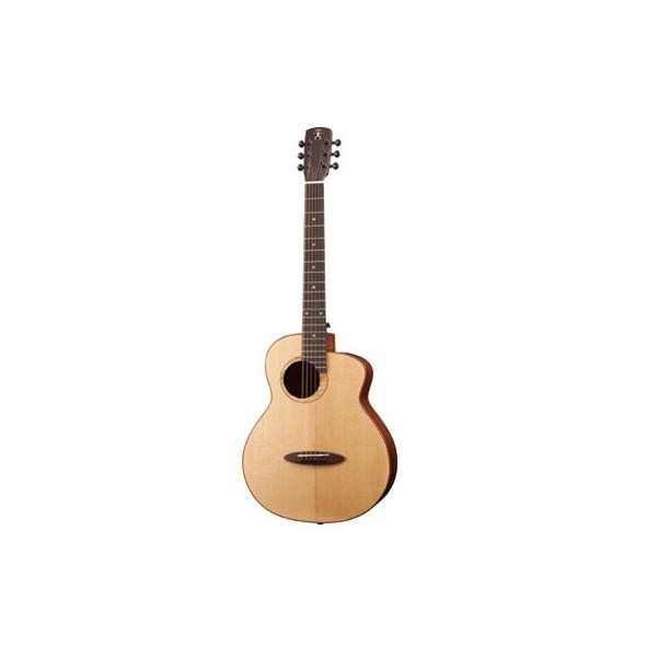 aNueNue aNN-M100E BirdGuitar ミニエレアコ ミニギター トラベル 