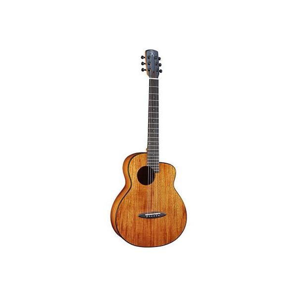 aNueNue aNN-M32 Bird Guitar Series Solid Koa Top アコースティック