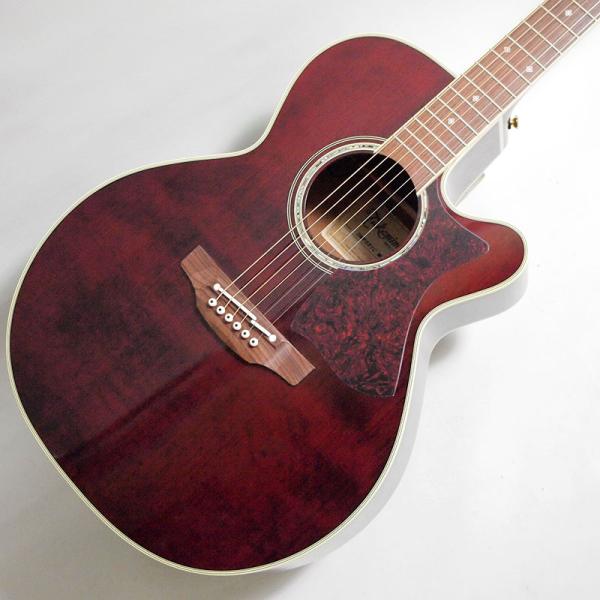 Takamine 500シリーズ DMP551C WR エレアコ〈タカミネ〉 : 楽器