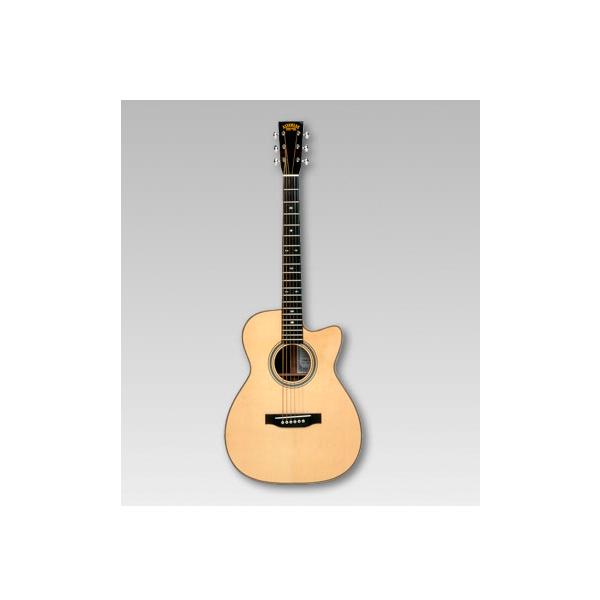 ASTURIAS アコースティック SOLO HERRINGBONE〈アストリアス〉 : 楽器