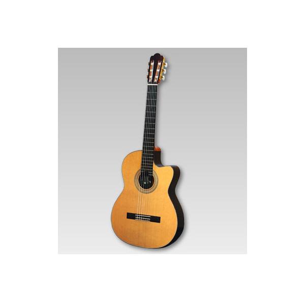ASTURIAS クラシック 辻渡 S-CW/C（杉）エレガット