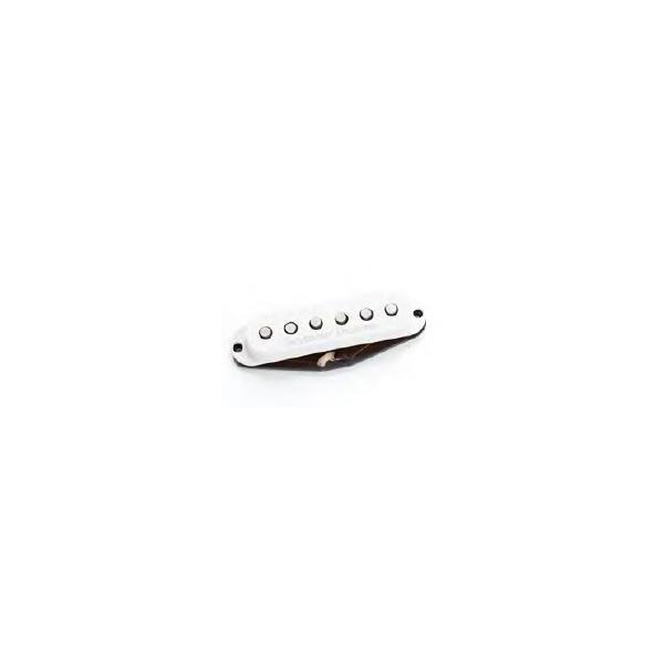 セイモアダンカン　SSL-1ピックアップセット SEYMOUR DUNCAN ( セイモアダンカン ) SSL-1 Calibrated Set