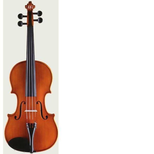 �o�C�I�����@310�@�@1/8�@1/10�@1/16��؃o�C�I����