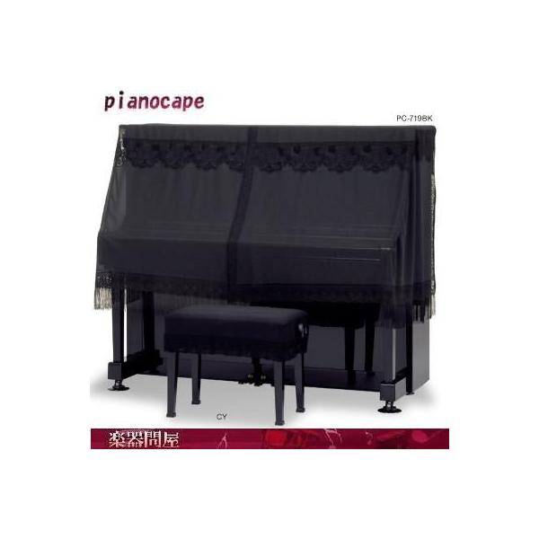 AbvCgsAmJo[@PC-819BK @sAmP[v@XgO[X