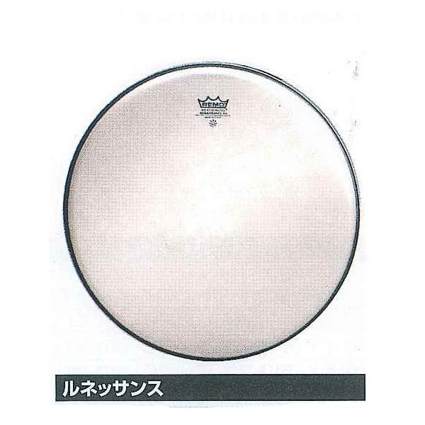 lbTXRT[g wbh@Remo Drum Head RA-114@ggp