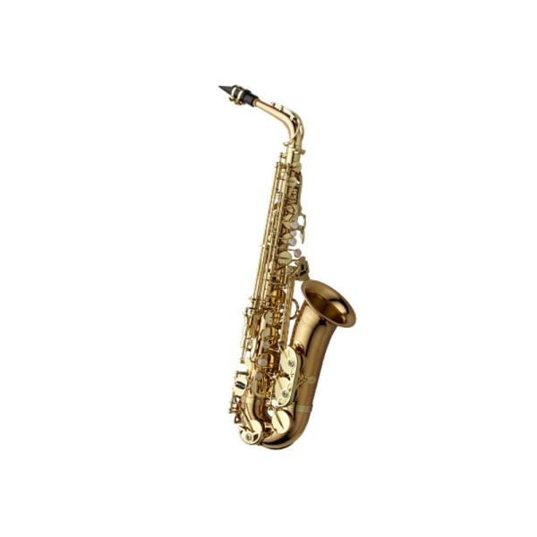 Yanagisawa(ヤナギサワ)】アルトサックス A-WO2 : 楽器ランド