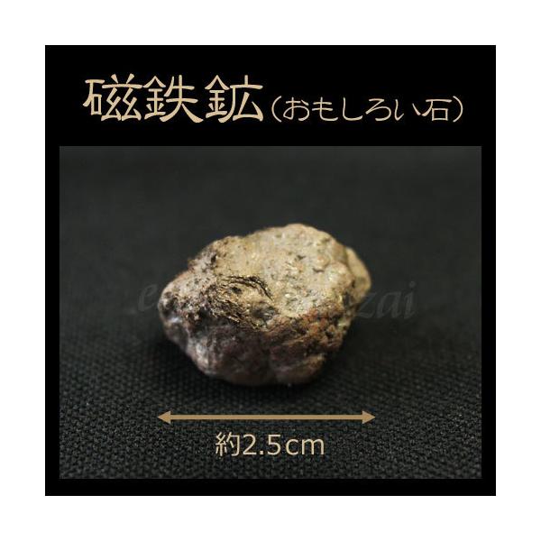 磁鉄鉱 鉱物 鉱石 標本 コレクション 自由研究 観察 発掘 夏休み 冬休み 小学生 実験