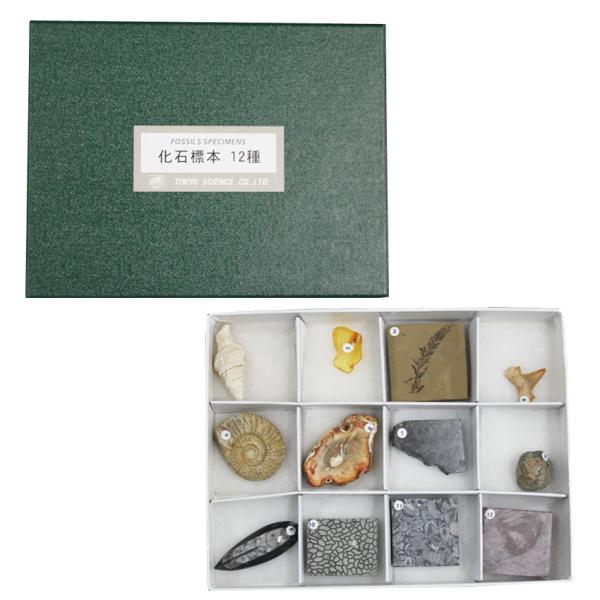 gakkoukyouzai_1-147-0702