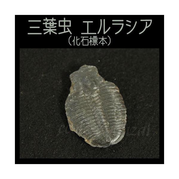 gakkoukyouzai_1-147-0930