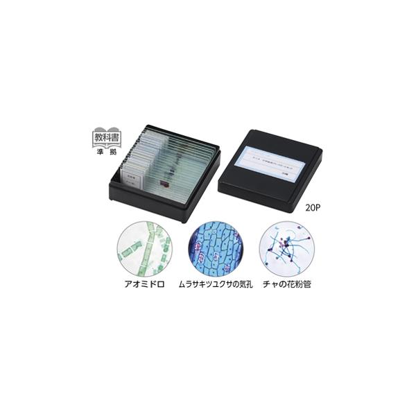 中学校用プレパラートセット20種の理科観察ガイド
