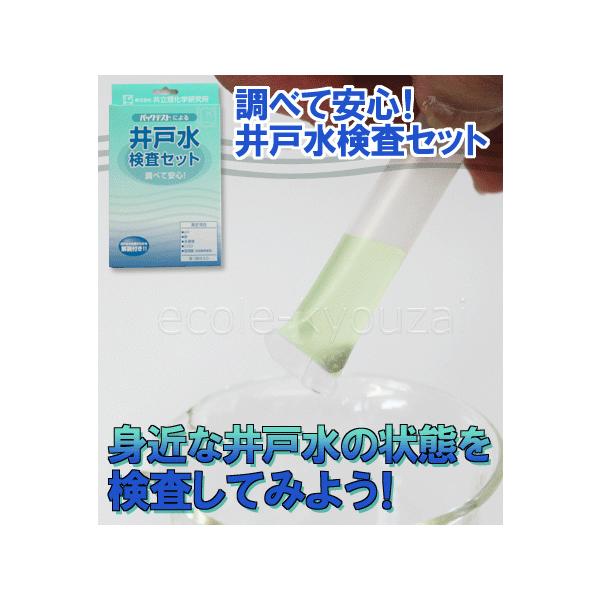 井戸水検査セット 水質検査 環境 自由研究 夏休み 冬休み 理科 小学生 中学生 自然観察 調査