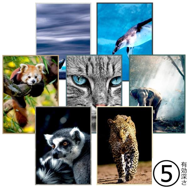 極細フレームで魅せる大型額縁T25の魅力を分析