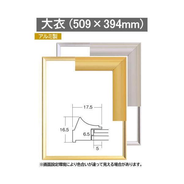 デッサン額縁 5660 大衣(508×393mm) 立体額 ボックス額