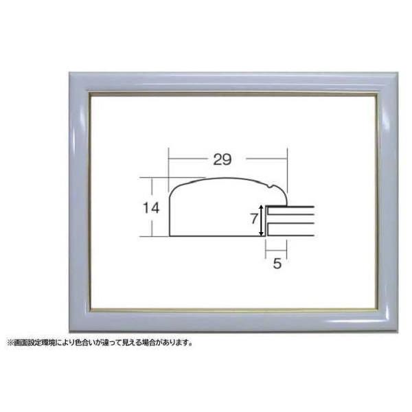 5600 C` (255×203mm) ʊz ʊz fbTz fbTz t[ ؐ