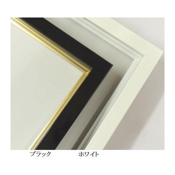 とっても軽く、フレーム+入子＝28mmのコンパクトな嬉しいフレームです。艶ありフレーム絵の入る部分の作品厚は21mm対応です。SM〜F10すべてUVカットアクリル付きです。製造メーカー　大額株式会社（国内最大手メーカー）■仕様フレーム内寸法...