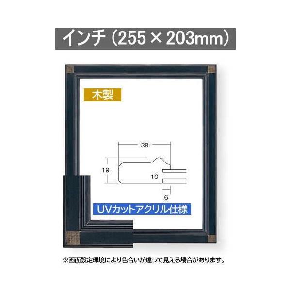 9701  C` t[ 254×203mm (8×10) ʊz fbTz ؐ