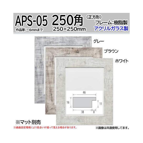 APS-05 250角 250×250mm 正方形 デッサン額 デッサン額縁 水彩額縁 