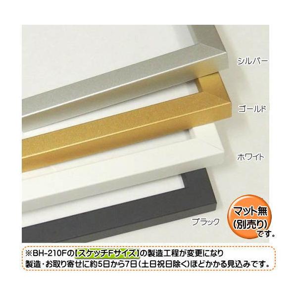 BH-210F スケッチ4F (マット別売) アルフレーム アクリル付 デッサン