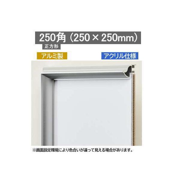 NA 250p ` 250×250mm A~z \ʕی/AN y󒍐Yiz