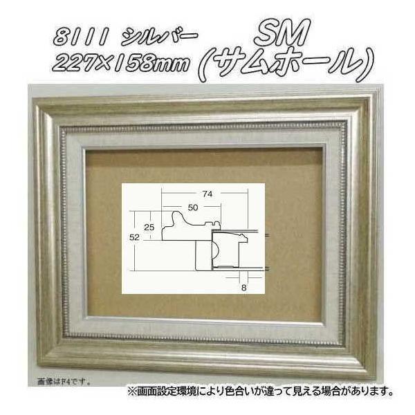 油彩額SM（サムホール）シルバー 8111 シルバー SM (サムホール) (227×158mm) アクリル付 油絵額縁 油彩